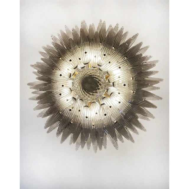 Palmette Ceiling Light Three Levels, 104 Smoked Glasses For Sale - Image 10 of 10