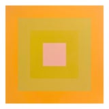 Contemporary Abstract Acrylic on Stretched Canvas "Colour Orb 9" by Brent Hallard For Sale