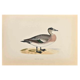 Alexander Francis Lydon, American Wigeon, Woodcut Print, 1870 For Sale