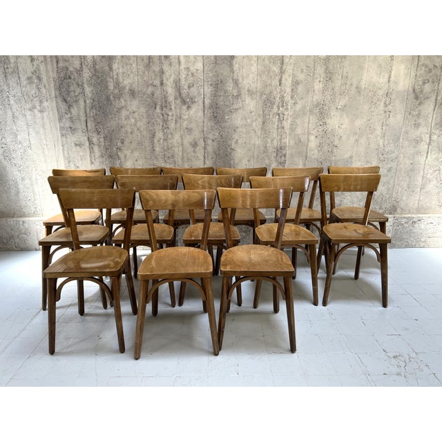 Bistro Bentwood Bistro Chairs, 1930s, Set of 14 For Sale - Image 9 of 9
