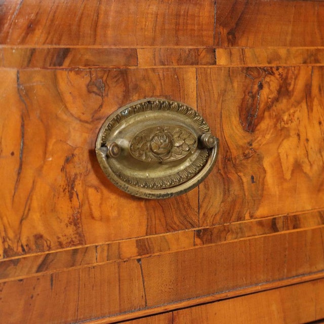 Wood Neo-Classical Walnut and Burlwood Chest of Drawers For Sale - Image 7 of 12