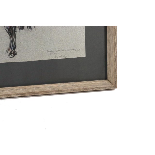 Gray The Equestrian Eye: Original Pastel of a Stallion by Leslie Charlotte Benenson Dated May 16, 1986 For Sale - Image 8 of 8