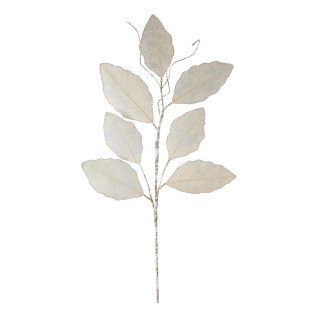 Champagne Magnolia Leaf Spray with Twig Accent (Set of 12) For Sale