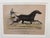 Currier & Ives the California Wonder Occident Lithograph, Framed For Sale - Image 9 of 12