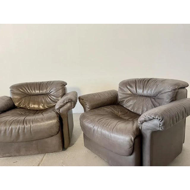 Armchair Ds14 from de Sede For Sale - Image 4 of 13