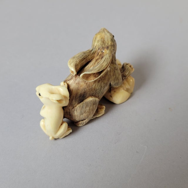 Japanese Japanese Carved Bone Rabbit Netsuke With Mother and Baby, Signed For Sale - Image 3 of 8