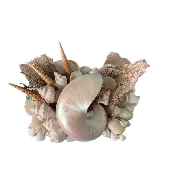 Tiffany Blue Keepsake Box-Mother-of-Pearl Nautilus, Shells & Coral For Sale In Naples, FL - Image 6 of 6
