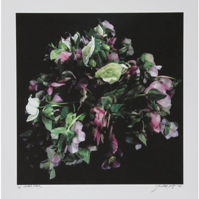 Photorealism Malibor Nigeon, Jonathan Singer For Sale - Image 3 of 3