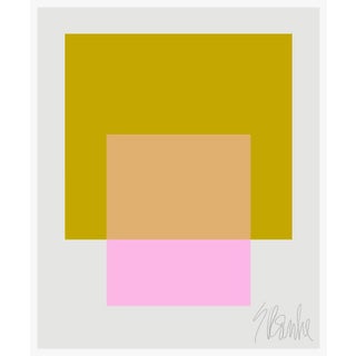 The Interaction of Spring Green and High Pink Fine Art Print 20" X 24" by Liz Roache For Sale