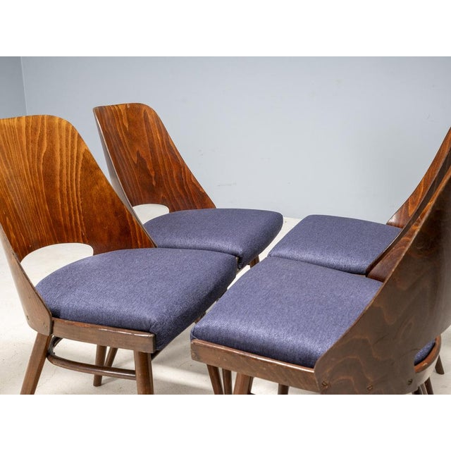 Brown 514 Chairs attributed to Oswald Haerdtl for TON, Czechoslovakia, 1950s, Set of 4 For Sale - Image 8 of 13