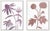 Hable Wildflowers Set by Susan Hable For Sale - Image 4 of 4