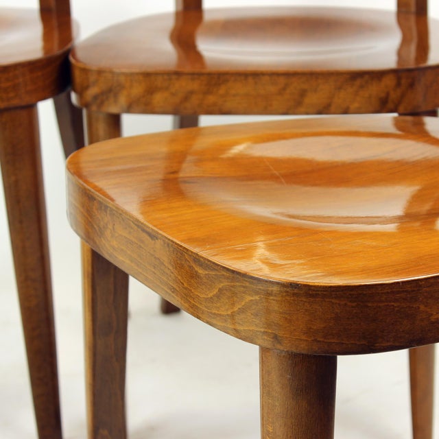 Dining Chairs in Walnut from Tatra, Former Czechoslovakia 1950s, Set of 4 For Sale - Image 11 of 17