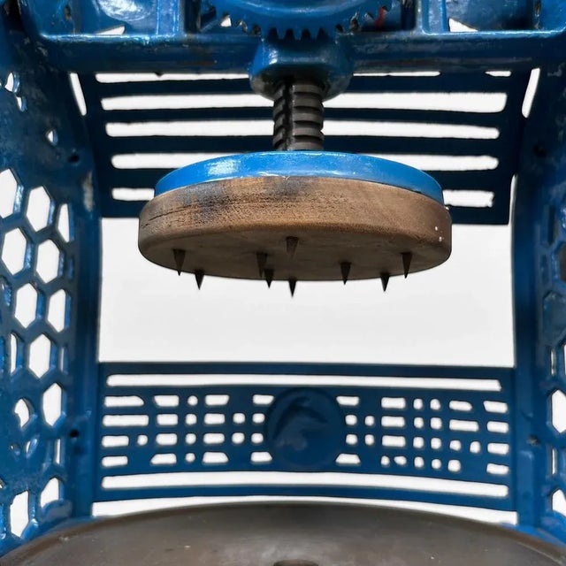 Blue Vintage Kakigōri Gold Dog Ice Shaver, Japan, 1950s For Sale - Image 8 of 17