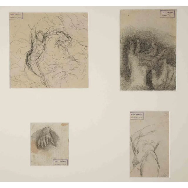 Luigi Galli, Anatomical Studies, Original Drawing, Late 19th-Century For Sale - Image 4 of 4