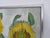 1960s Swedish Mid Century Modern Oil Painting of Sunflowers by Brita Streijffert For Sale - Image 15 of 18
