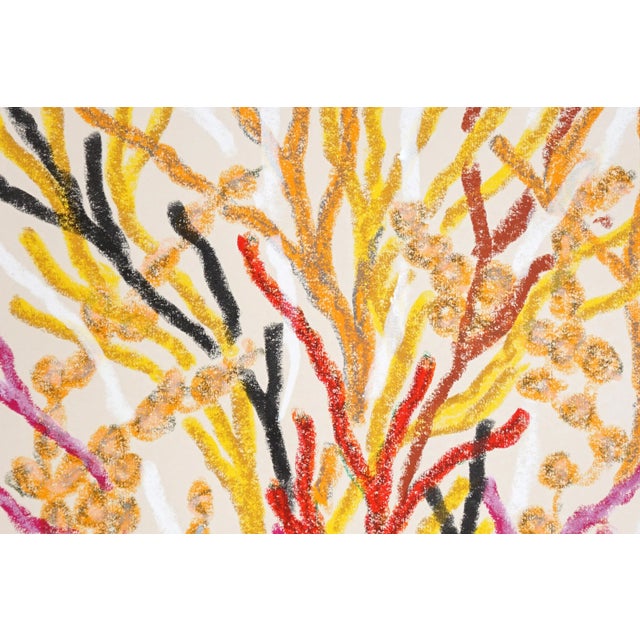 2020s 2025, Abstract Organic Seascape, Coral Forest, Orange Marine Flora, Gouache Crayon on Watercolor Paper by Romina Milano For Sale - Image 5 of 8