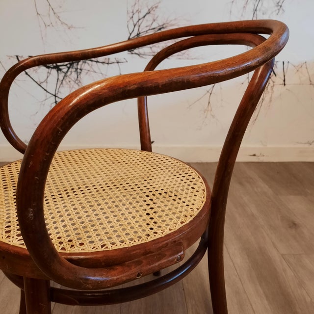 No. 209 Armchairs in Bentwood and Rattan from Ligna, 1970s, Set of 4 For Sale - Image 9 of 13