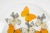 Created by Hasharat, this luminous butterfly composition features an elegant arrangement of exotic butterfly specimens...