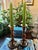 These barley twist candle sticks have some age on them as told by the wonderful patina on the hand turned oak. They...