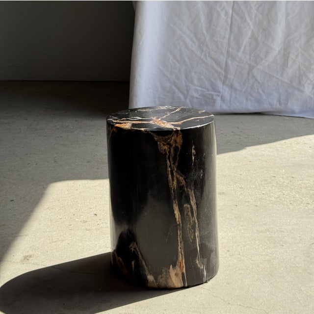 Side Table in Black Petrified Wood with Beige Star Pattern For Sale - Image 5 of 18