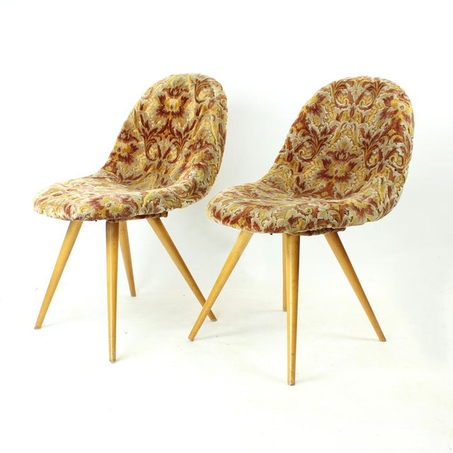 Set of Mid-Century Shell Chairs by Miroslav Navratil, Former Czechoslovakia, 1960s For Sale - Image 12 of 14