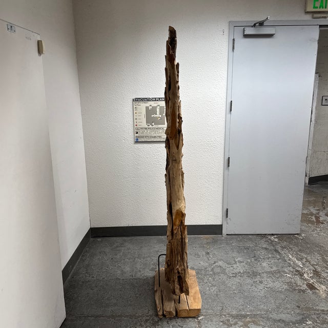 Uttermost Revelation by Uttermost Sculptural Driftwood Floor Screen For Sale - Image 4 of 12