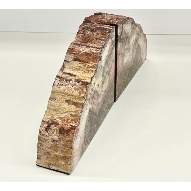 Pair of Petrified Wood Bookends – Large Bookmatched Fossil Wood Slabs – Organic Modern / MCM Shelf Decor For Sale In Detroit - Image 6 of 9