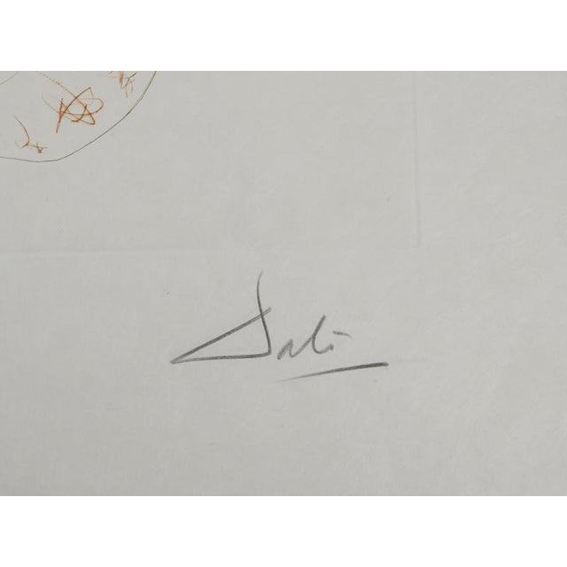 Modern Salvador Dali, Tristan the Madman, 1970, Engraving For Sale - Image 3 of 8