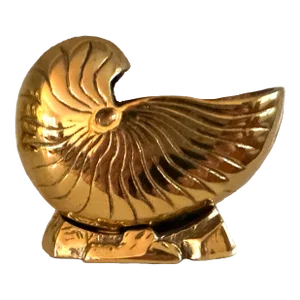 Brass Nautilus Shell Planter