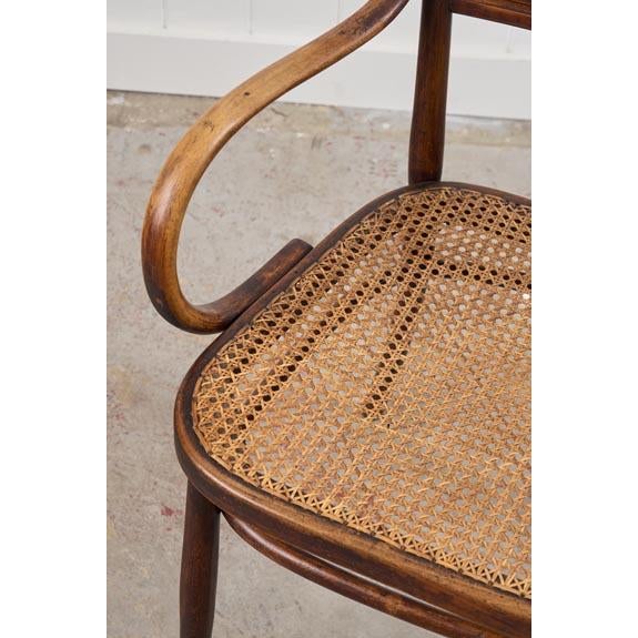 Brown Antique Edwardian Bentwood Occasional Chair With Hand Tied Cane Seat For Sale - Image 8 of 11