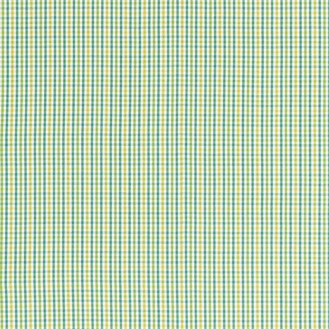 Sample - Schumacher Bahama Check Fabric in Lagoon For Sale