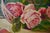 E. Durmann, Academic Roses, 1926, Oil Painting on Canvas, Framed For Sale - Image 3 of 7