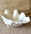 Ivory Vintage Realistic Ceramic Clam Shell Bowl – Sculptural Coastal Decor Dish For Sale - Image 8 of 10