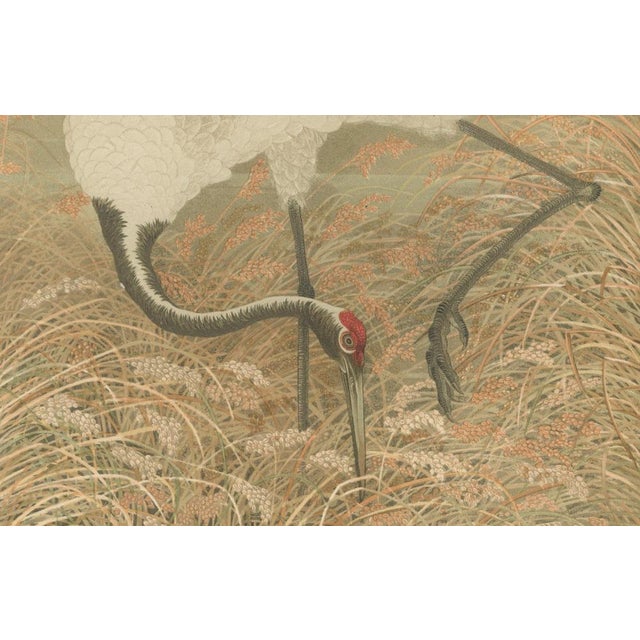 Serene Scene in Grassy Marsh, 1800s, Paper For Sale - Image 5 of 10