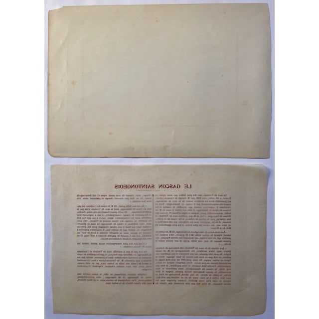 Illustration 1907 French Photogravure Print Of” Le Gascon Saintongeois” Hound Dogs - For Sale - Image 3 of 3