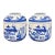 Pair of Mottahedeh Blue Canton Porcelain Lidded Ginger Jars | Vista Alegre, Portugal For Sale