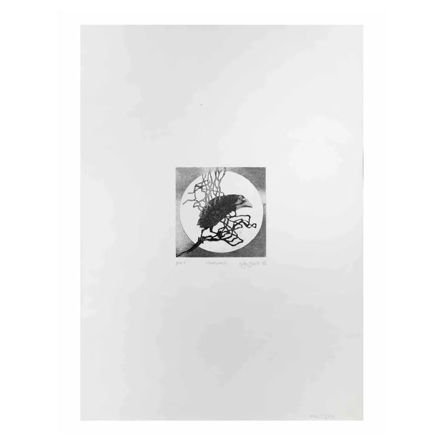 Leo Guida, Nocturnal, 1972, Etching For Sale