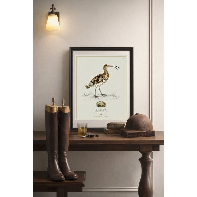 Paper William Lewin 1789 Waterbirds Fine Art Gallery Board Print - The Curlew For Sale - Image 7 of 12