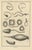 Beige Antonio Baratti, Truss Springs and Bladder Syringe, Diderot Chirurgie Plate Vii, 1772, Engraving For Sale - Image 8 of 8