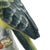 1970s Chinese Export Porcelain Parrots With Applied Fruit and Blossoms – A Pair For Sale - Image 12 of 15