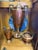 Beautiful vintage Art Deco copper and nickel-plated coffee percolator service set in the style of Manning, Bowman & Co.....