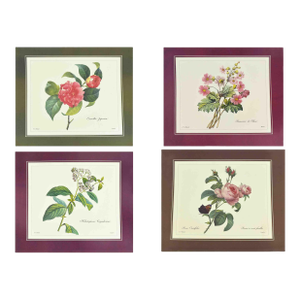 Mid 20th Century p.j. Redoute Botanical Art Prints - Set of 4