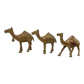 Mid 20th Century Solid Brass Camels - Set of Three For Sale