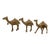 Mid 20th Century Solid Brass Camels - Set of Three For Sale
