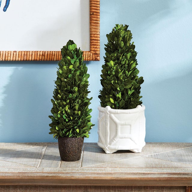 Kenneth Ludwig Chicago Boxwood Cone Topiary Drop-In 12" For Sale - Image 4 of 4