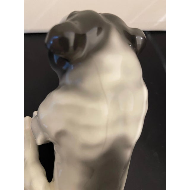 German Porcelain Figure of a Bulldog, Early 20th Century For Sale In Savannah - Image 6 of 6