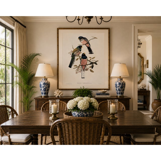 Vintage Tropical Bird Illustration, Bird Art Print Reproduction, 20" X 30" For Sale In Buffalo - Image 6 of 10