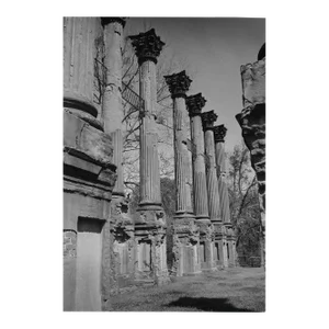 1992 Windsor Ruins Mississippi Photograph by Don Ware