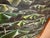 Abstract Lisa Bradshaw 1977 Sci-Fi Modern Umbrella TreesCape Wit Giant Aloe For Sale - Image 4 of 7