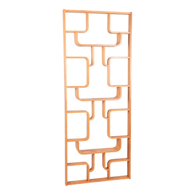 Mid-Century Room Divider by L. Volak for Drevopodnik Holesov, Czech, 1960s For Sale
